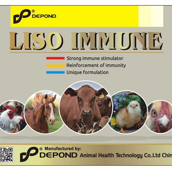 China OEM/ODM Factory Cattle Vitamin B12 Injection - LISO IMMUNE – Depond  factory and suppliers